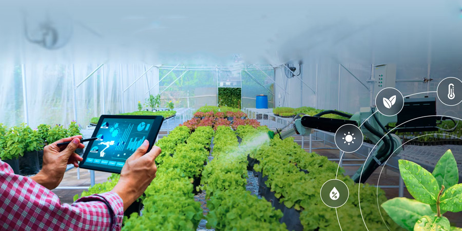 How AI is Transforming Satellite IoT for Smart Agriculture